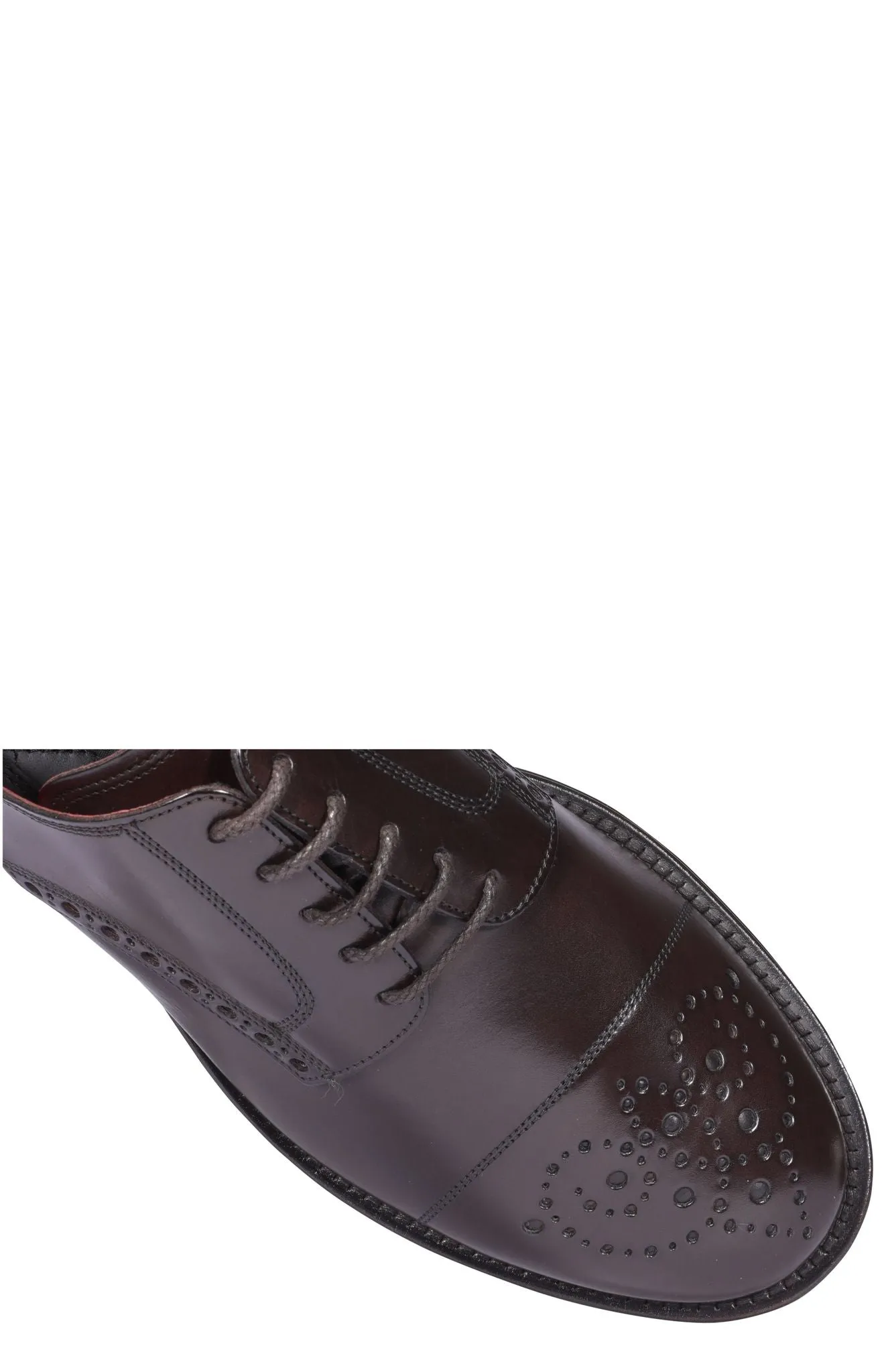 Dolce & Gabbana Brogue Derby Shoes